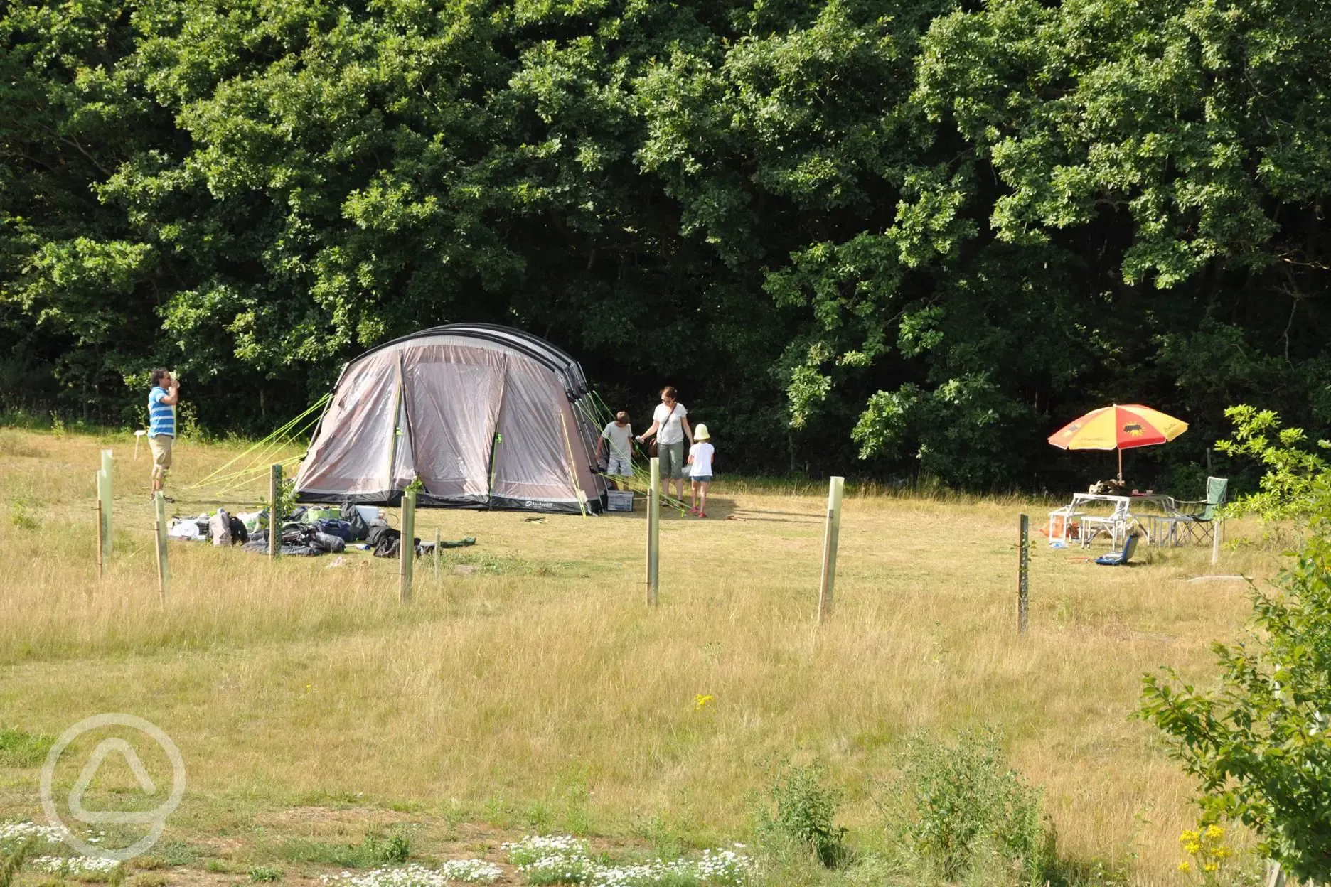 Non electric meadow pitches