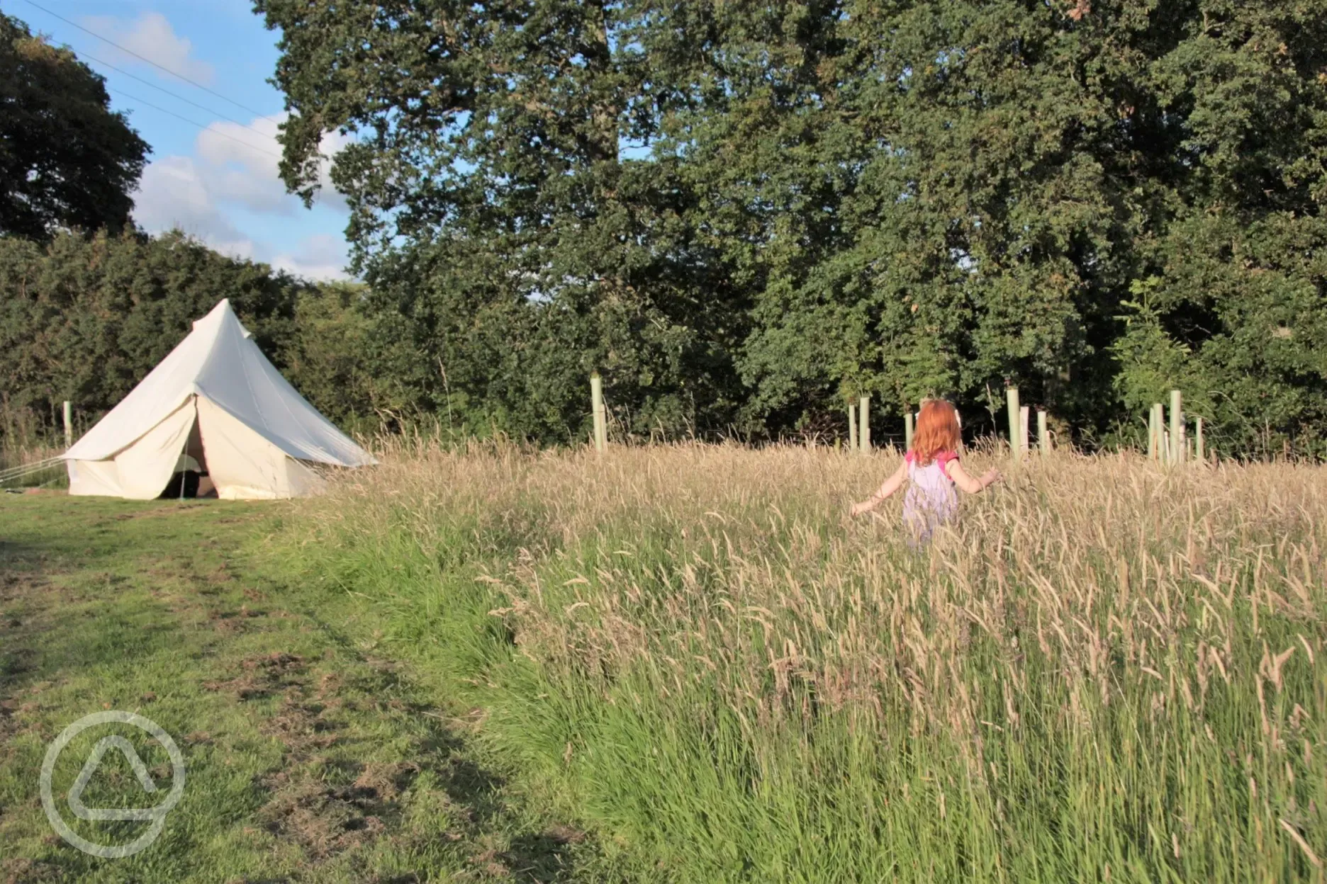 Non electric meadow pitches