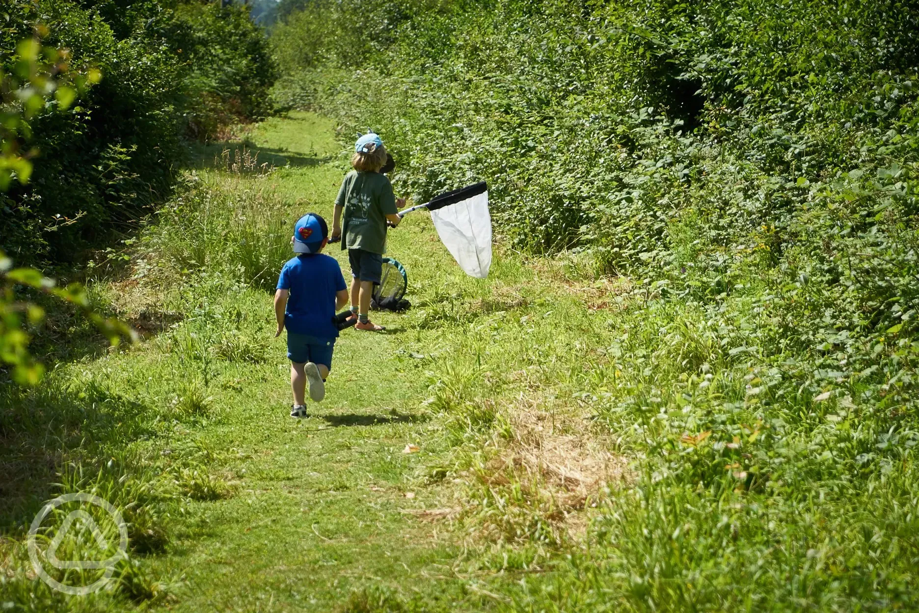 Butterfly catching