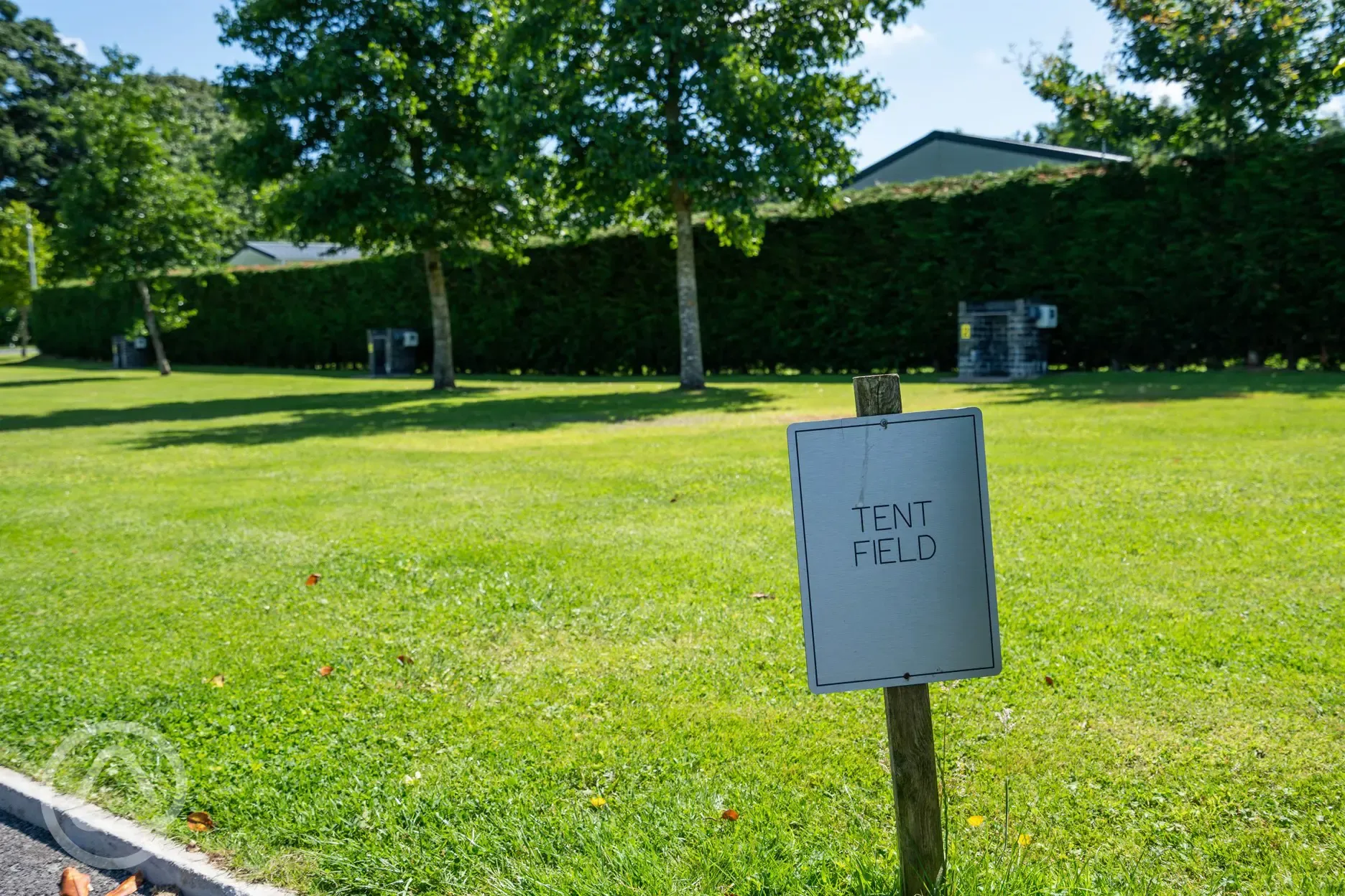 Electric grass tent pitches