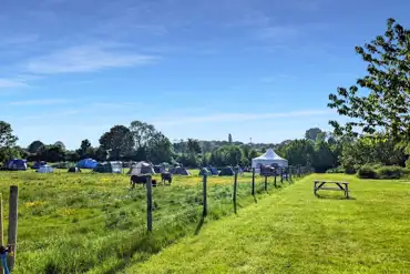 Camping field with neighbouring field of horses
