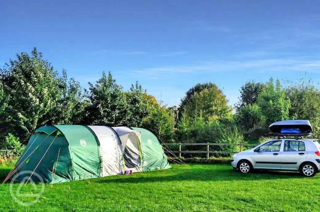 Grass pitches backed by a wooden fence and trees
