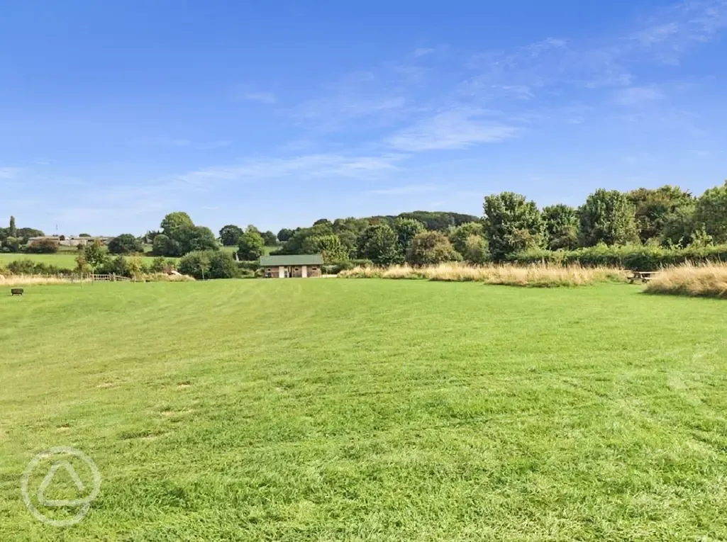 Overview of the camping field
