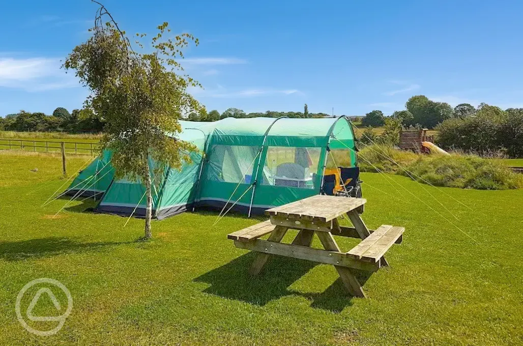 Grass pitches with picnic benches dotted around the campsite
