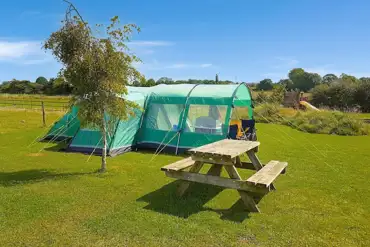 Grass pitches with picnic benches dotted around the campsite