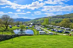 Large family and group electric grass pitches (12 persons)