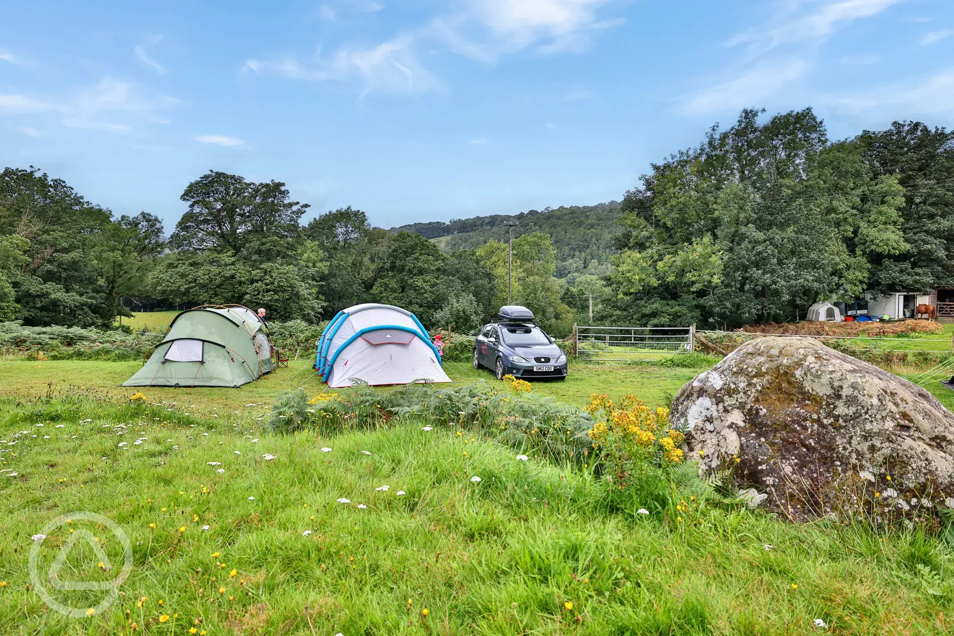Grass tent pitches (optional electric)