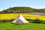 Unfurnished 5m bell tents at Town Farm Camping