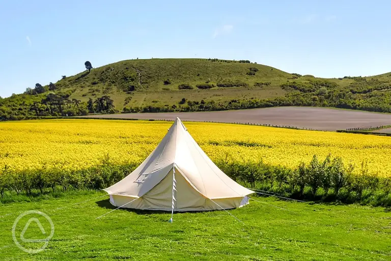 Unfurnished 5m bell tents at Town Farm Camping