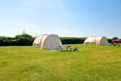 Tents on non electric grass pitches at Town Farm Camping Tents on non electric grass pitches at Town Farm Camping