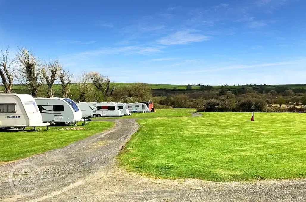 Electric grass pitches