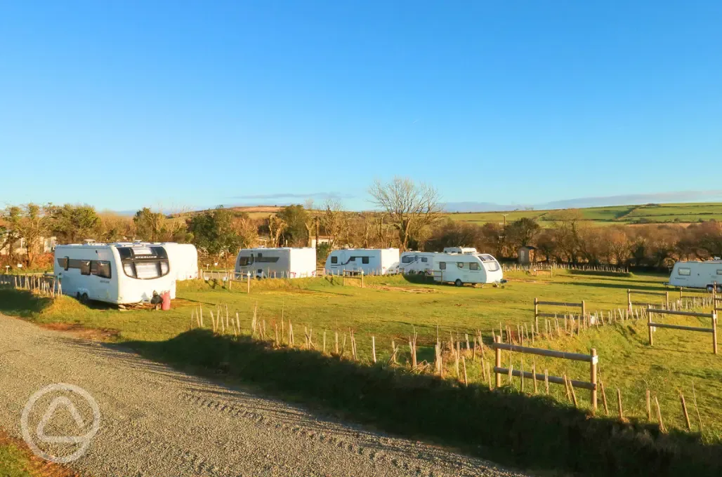 Electric grass pitches