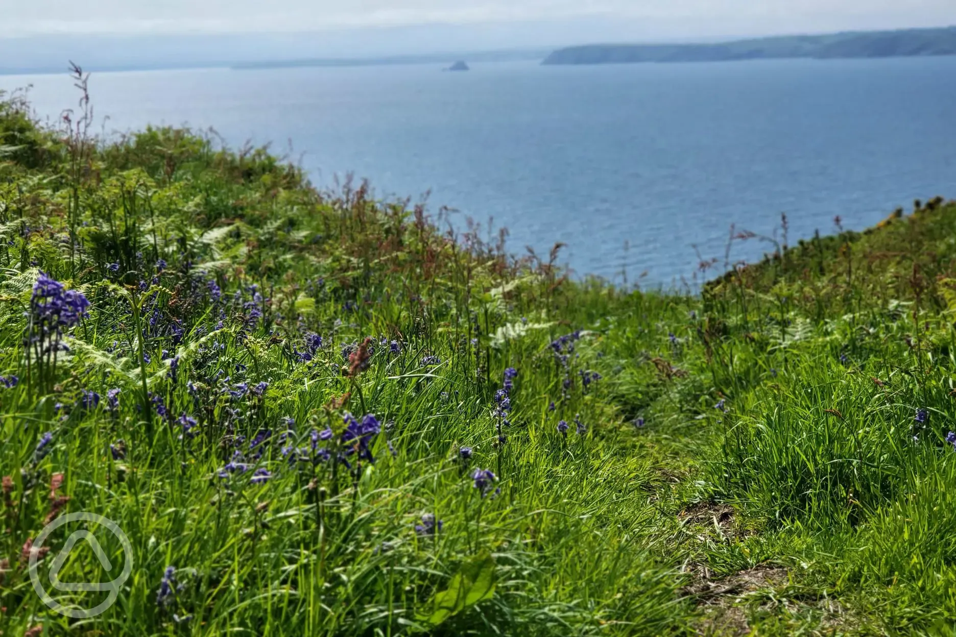 Nearby Lizard Point