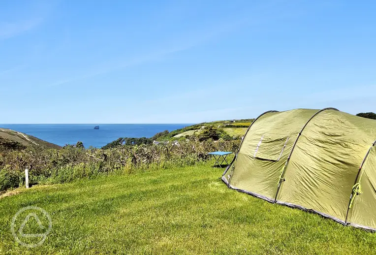 Sea view non electric grass pitches (10m x 12m)