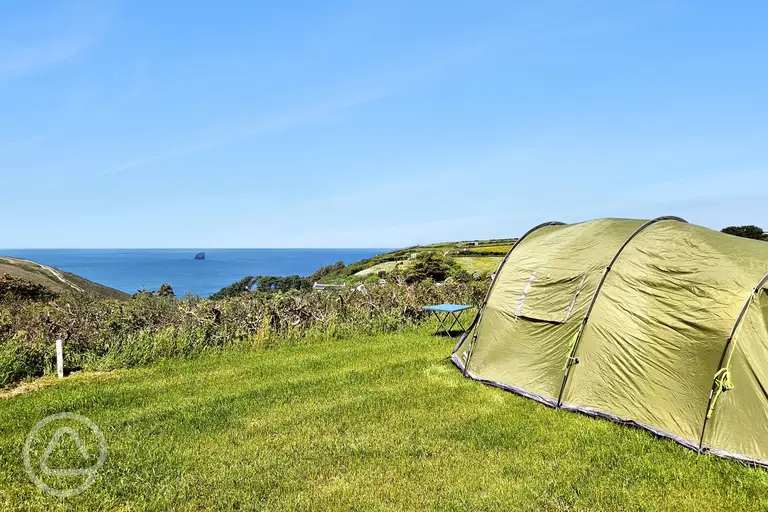 Sea view non electric grass pitches (10m x 12m)