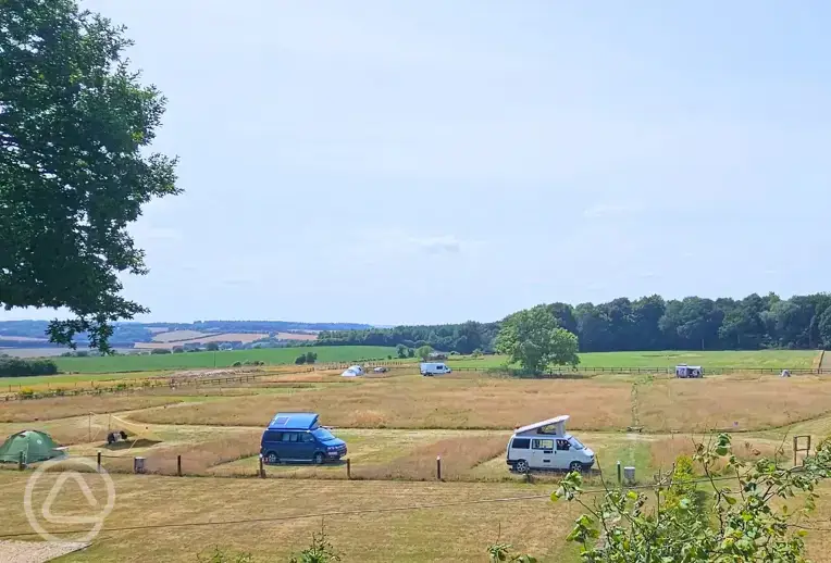 Electric grass pitches