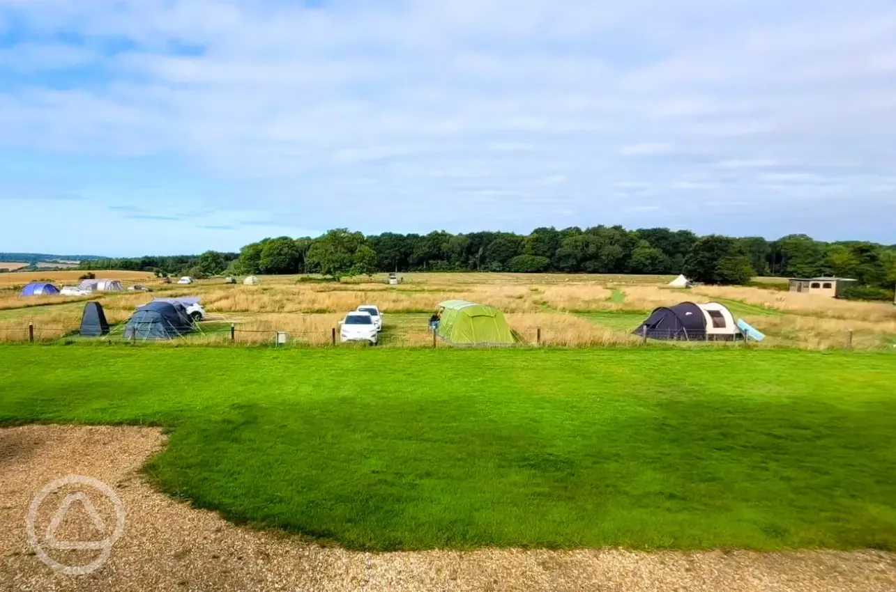 Electric grass pitches
