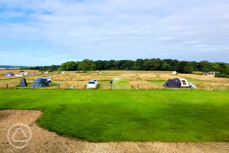 Electric grass pitches