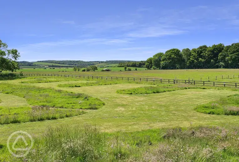 Electric grass pitches