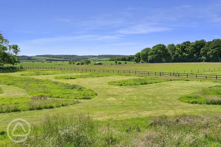 Grass pitches