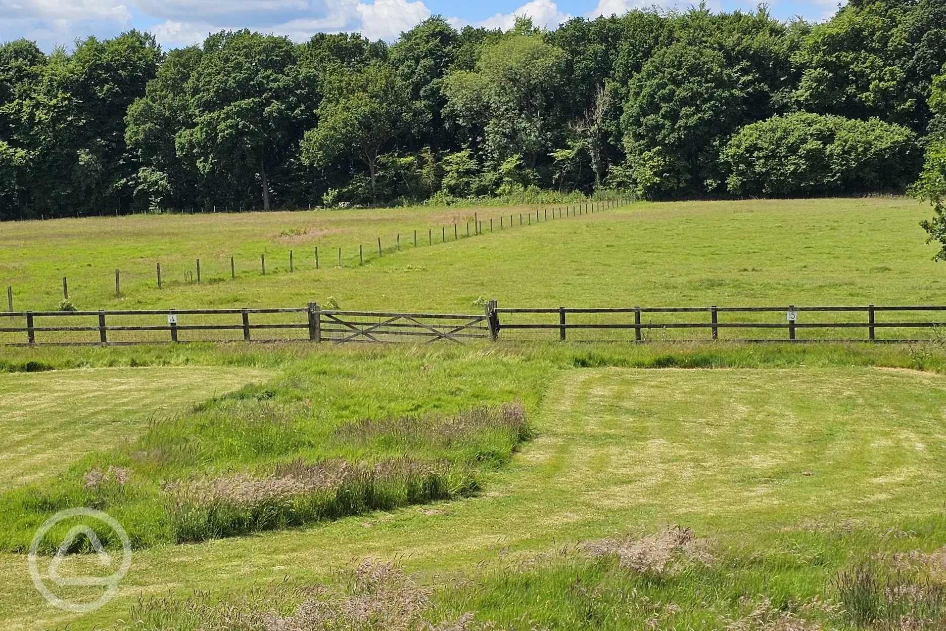 Grass pitches