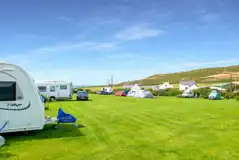 Grass pitches with dividing hedging