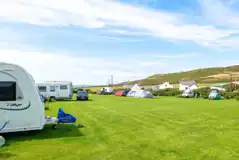 Grass pitches with dividing hedging