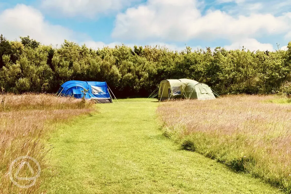 Non electric grass pitches