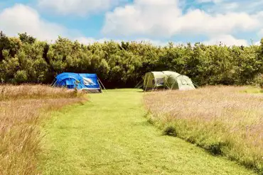 Non electric grass pitches