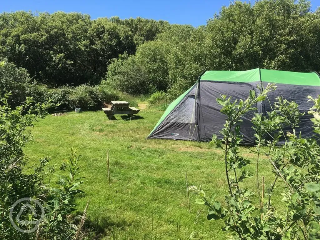 Secluded camping pitch at Ty Parke
