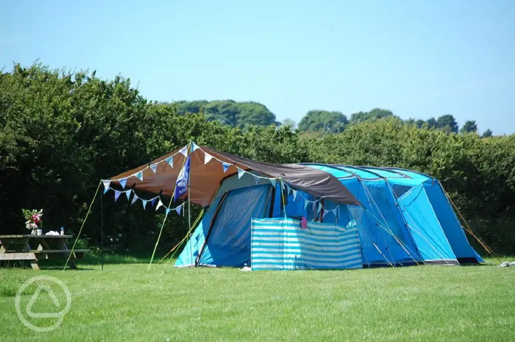 Tent pitch at Ty Parke