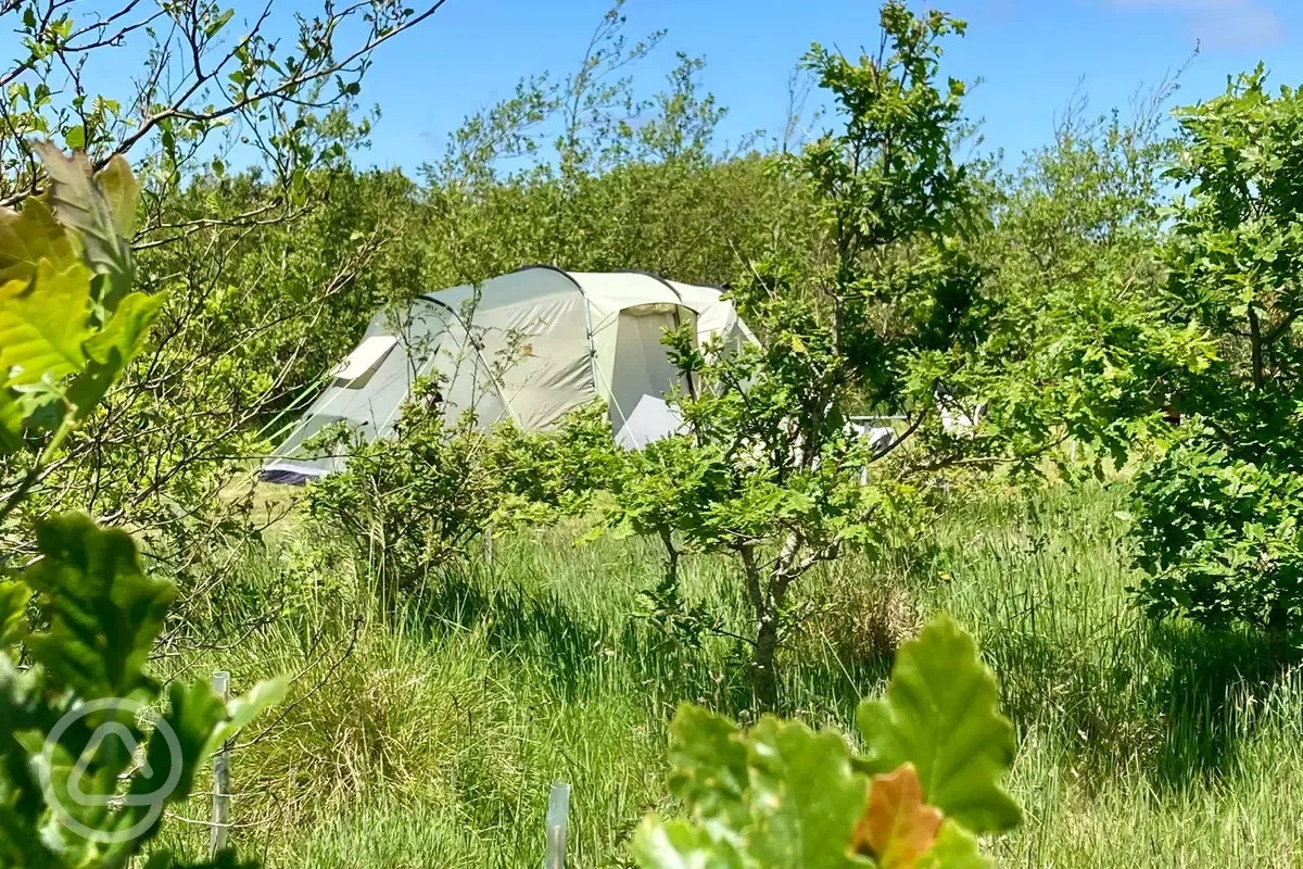 Non electric secluded grass pitches