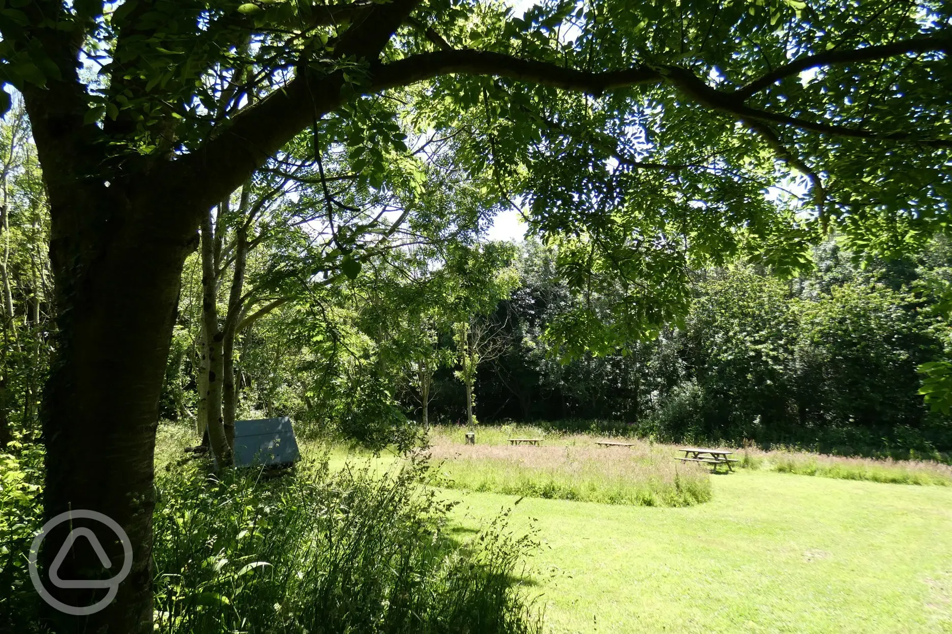 Woodland walk with picnic tables