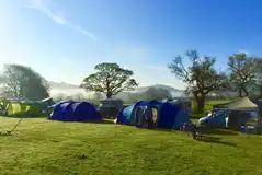 Electric tent pitches