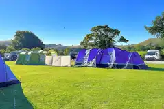 Electric grass tent pitches (6m x 3m)