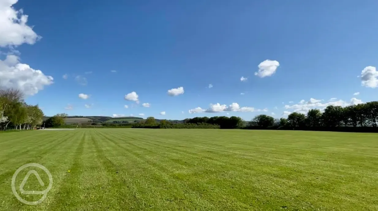 Non electric grass pitches