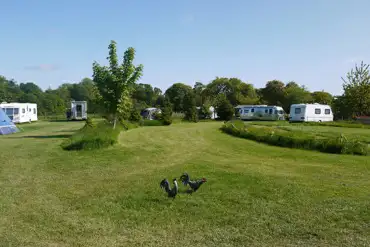 Grass pitches