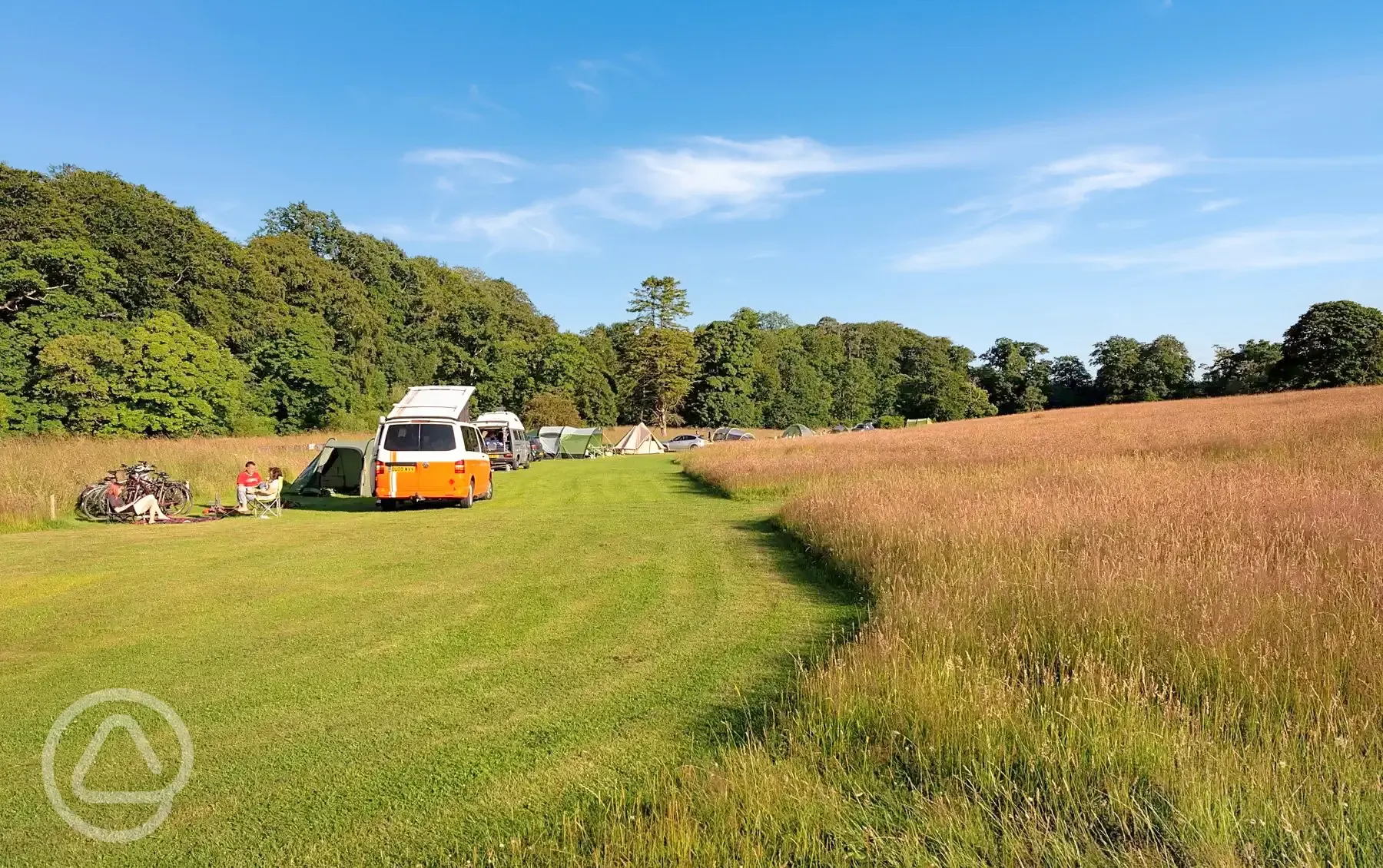 Grass pitches