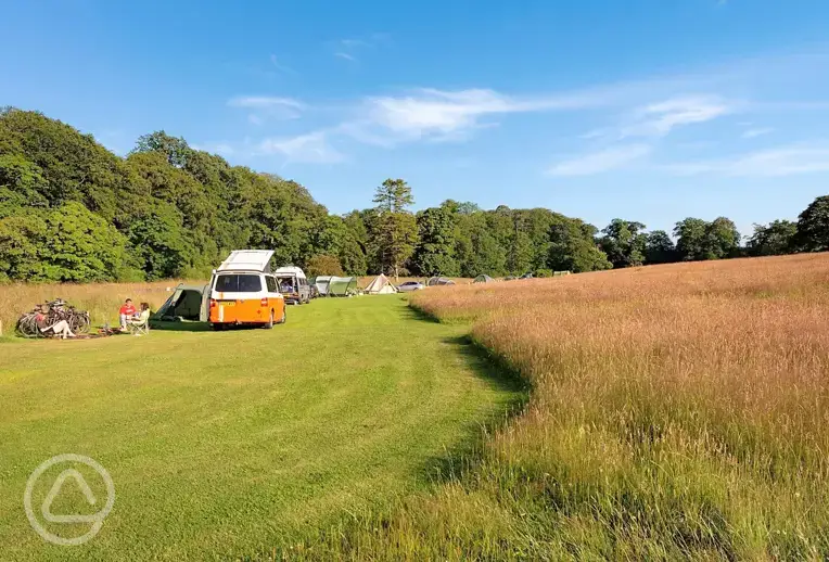 Grass pitches