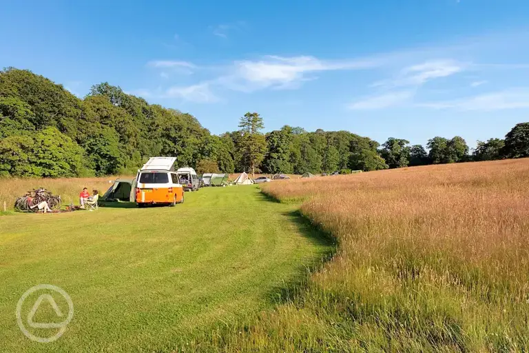 Grass pitches