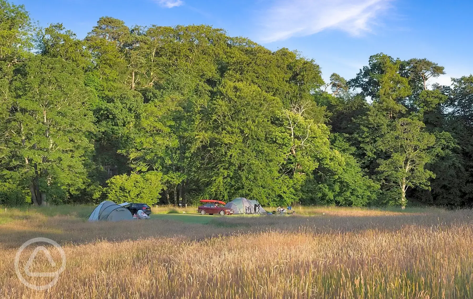 Grass pitches