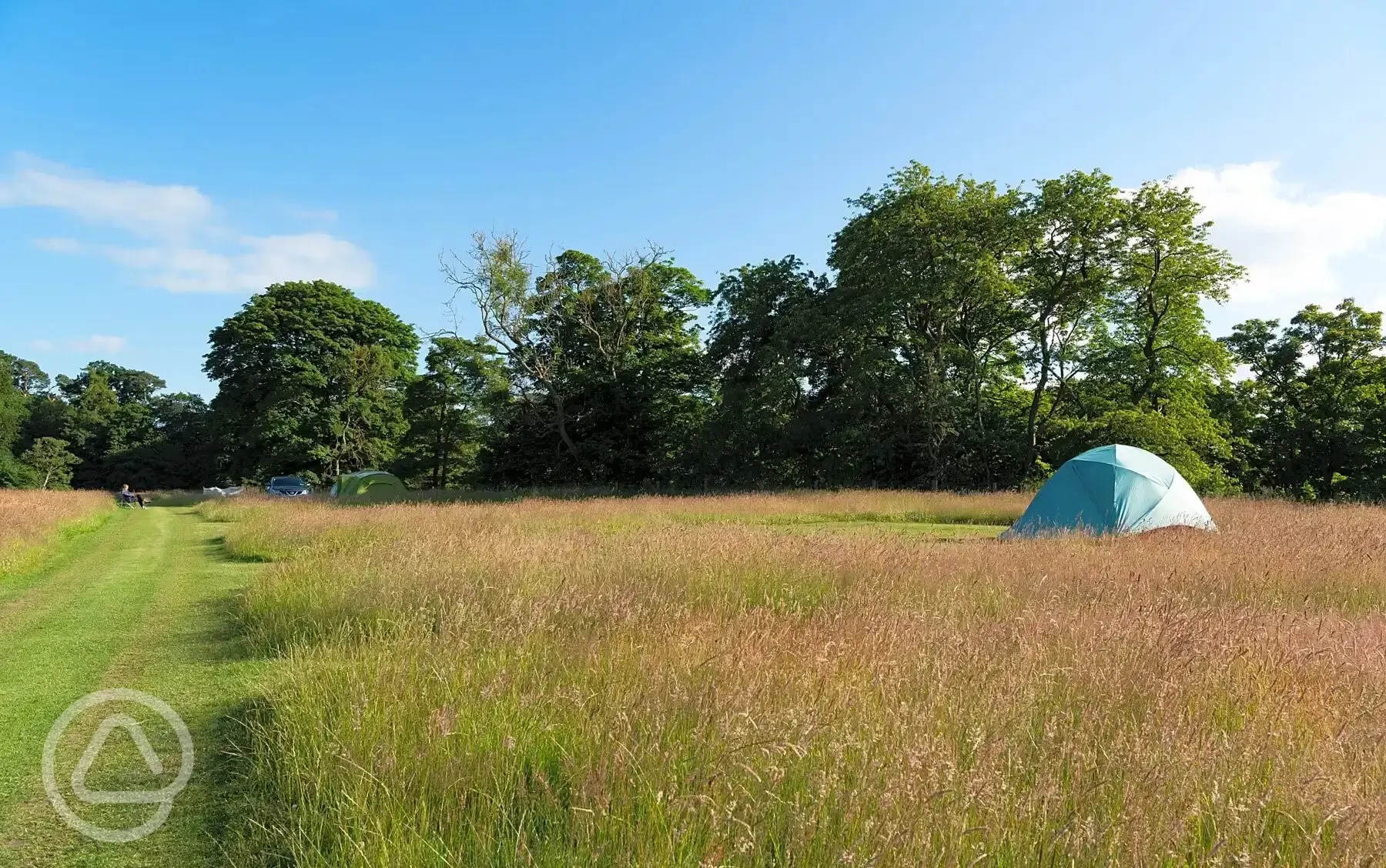 Grass pitches - Top Circle