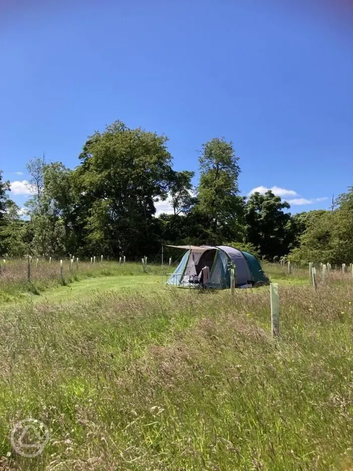 Grass pitches