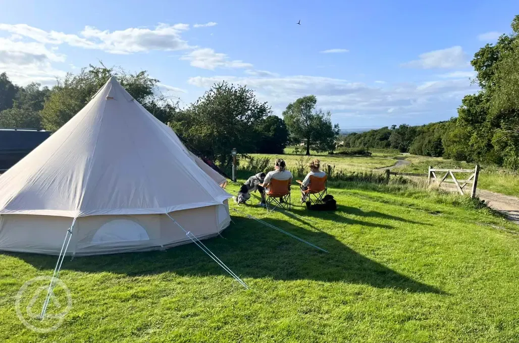 Grass pitches