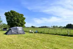 Electric grass tent pitches