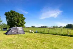 Electric grass tent pitches