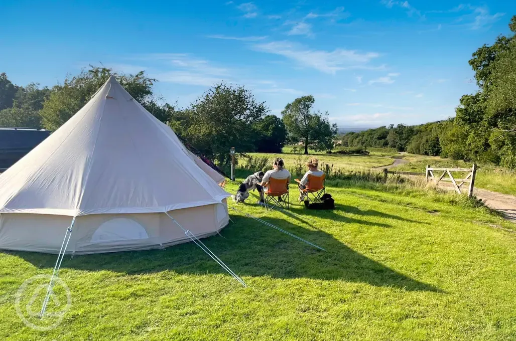 Grass pitches