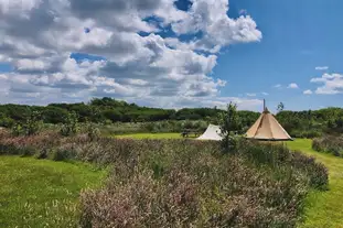 Little Haven Campsite, Little Haven, Haverfordwest, Pembrokeshire
