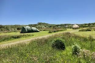 Little Haven Campsite, Little Haven, Haverfordwest, Pembrokeshire