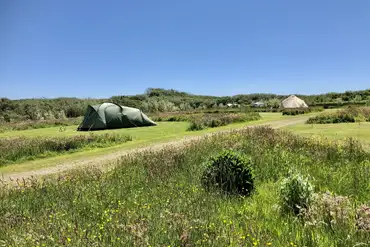 Meadow pitches at Little Haven Campsite